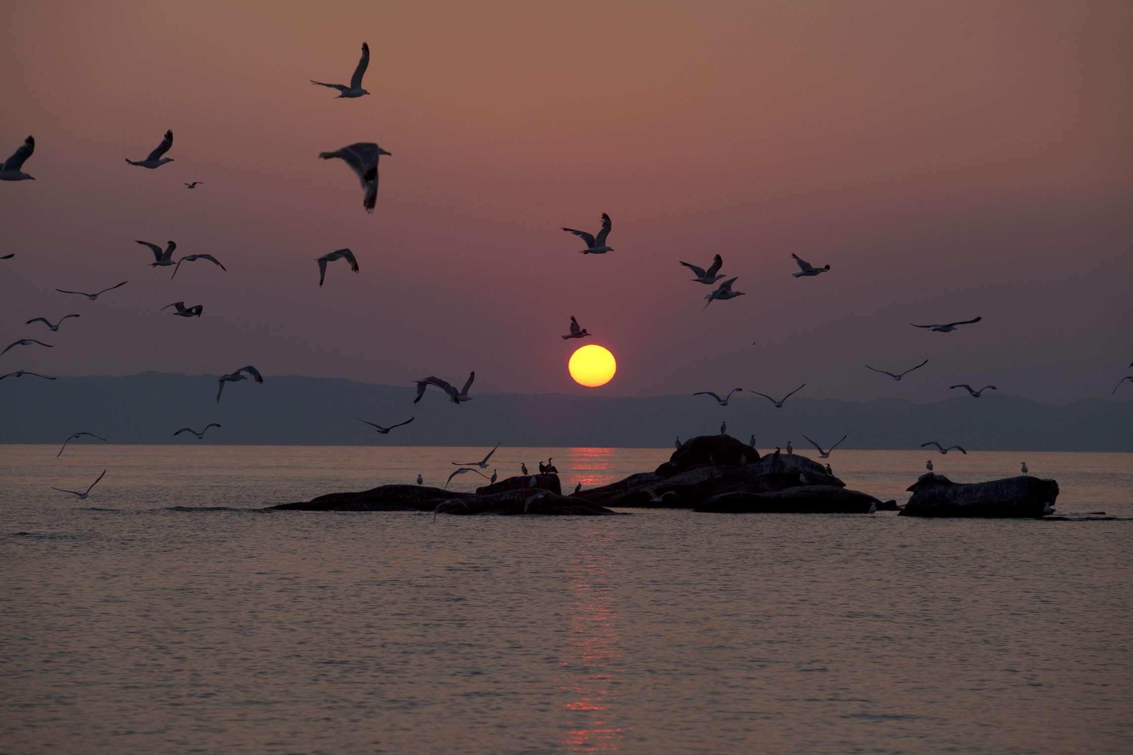 Νησί Διάπορος